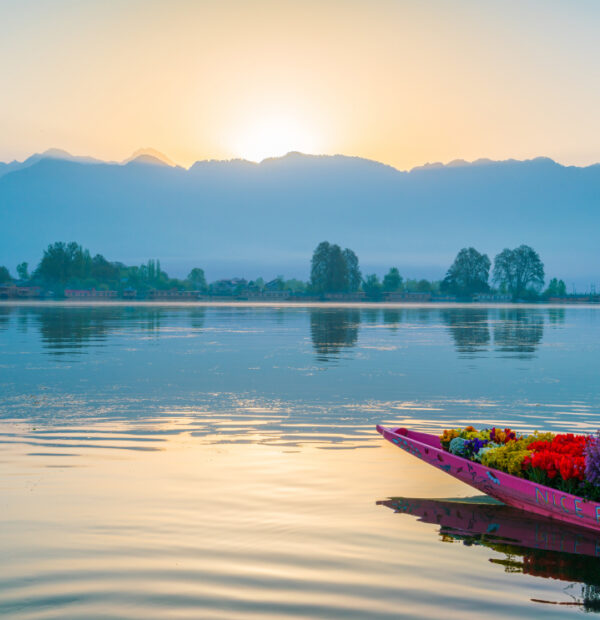 Kashmir 5 days 4 Nights Package